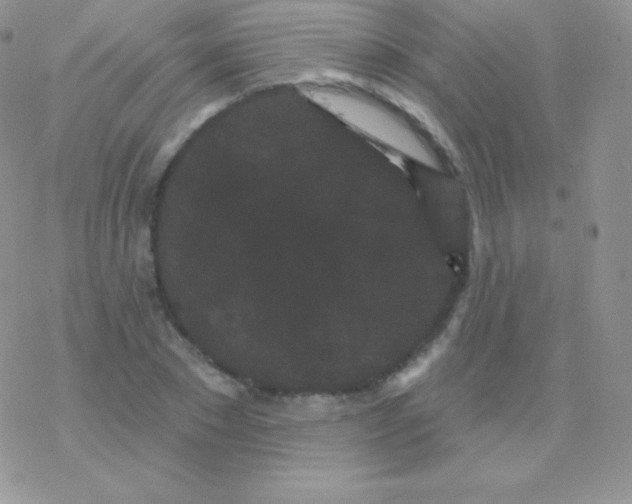 X0000077370881200611171946