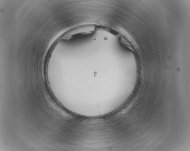 X0000077370884200611171946