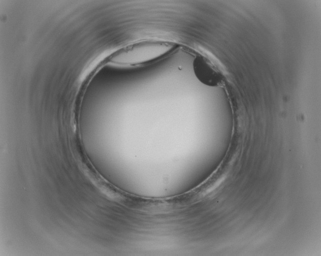 X0000077370885200611171946