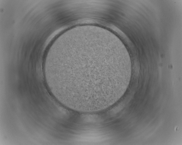 X0000077370886200611171946