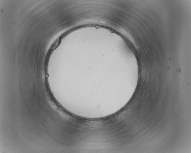 X0000077370888200611171946