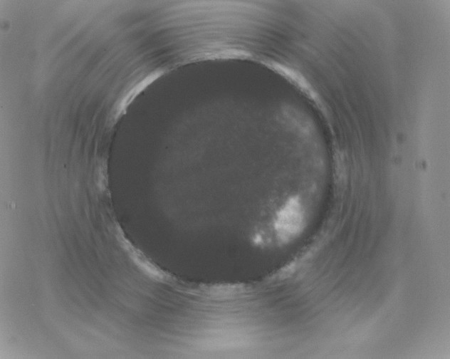 X0000077370889200611171946