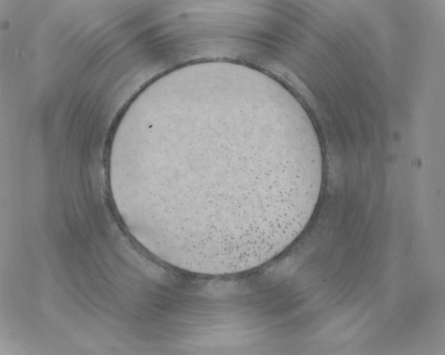 X0000077370890200611171946