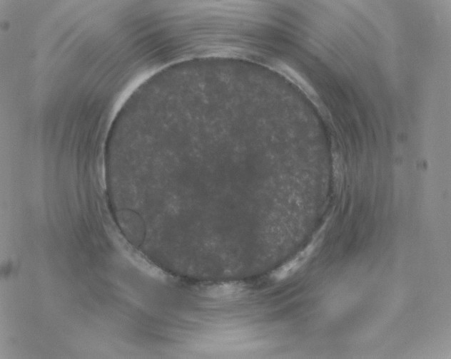 X0000077370891200611171946