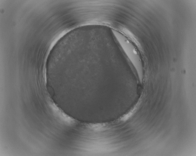 X0000077370892200611171946