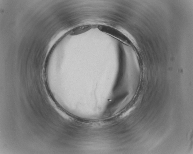 X0000077370893200611171946