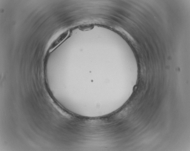 X0000077370894200611171946