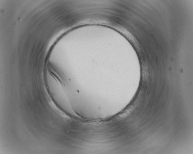 X0000077370896200611171946