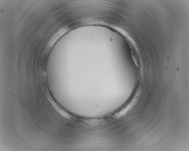 X0000077370897200611171946