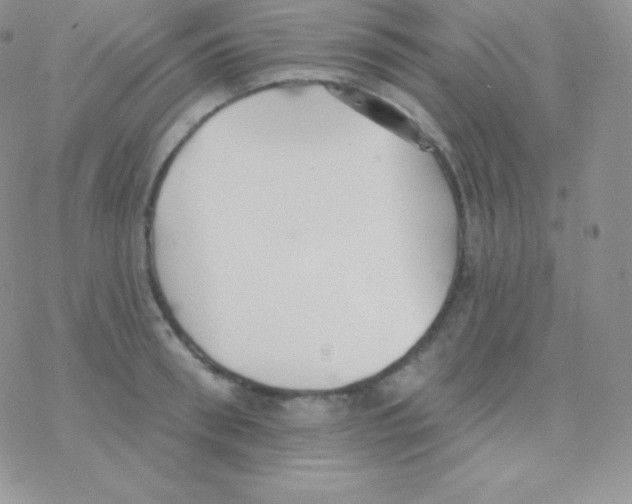 X0000077370898200611171946