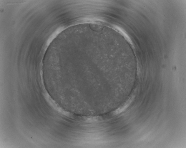 X0000077370899200611171946