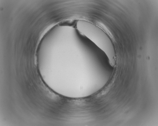 X0000077370900200611171946