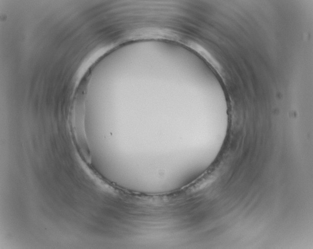 X0000077370901200611171946