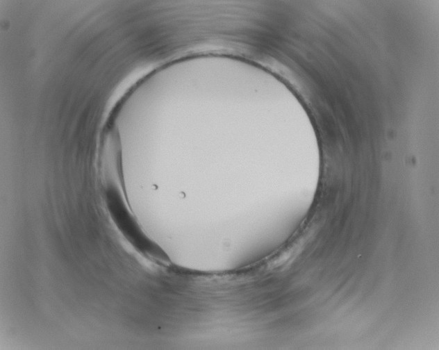 X0000077370902200611171946