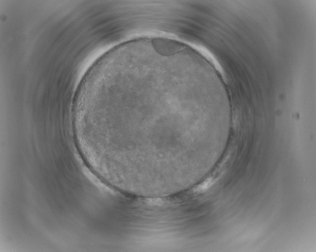 X0000077370903200611171946