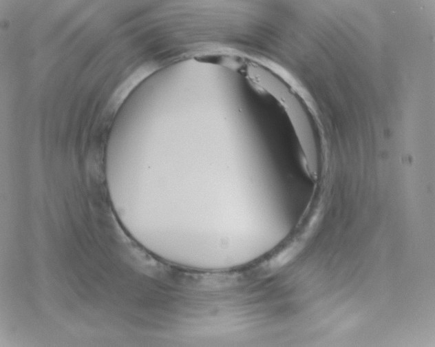 X0000077370905200611171946