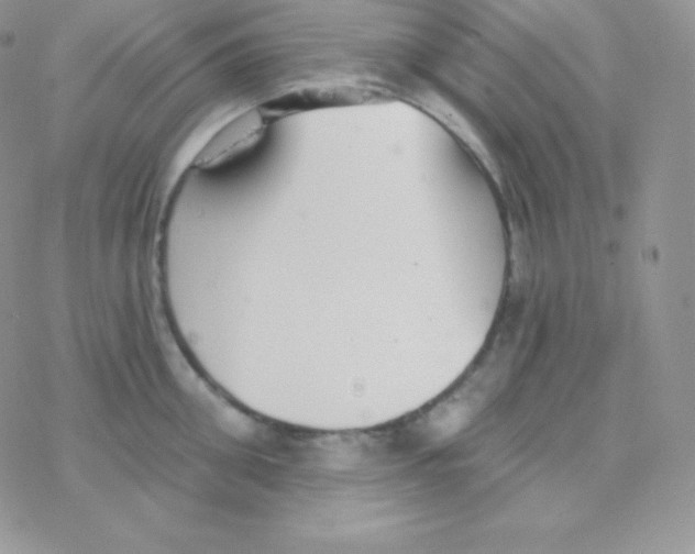 X0000077370906200611171946