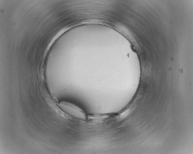 X0000077370908200611171946