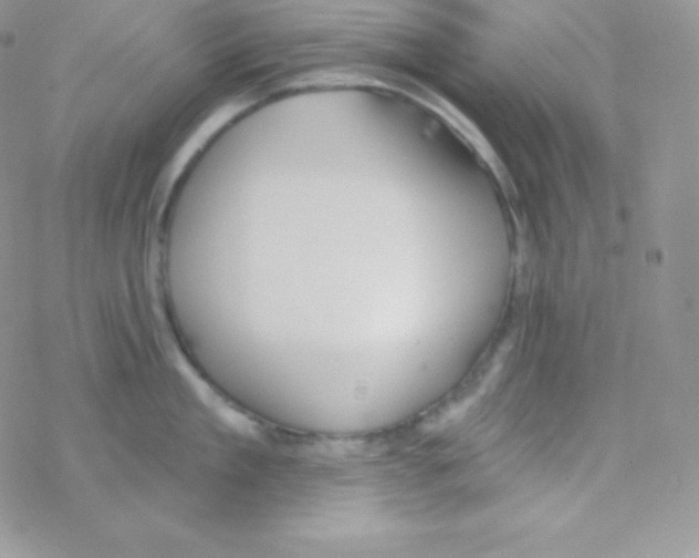 X0000077370909200611171946