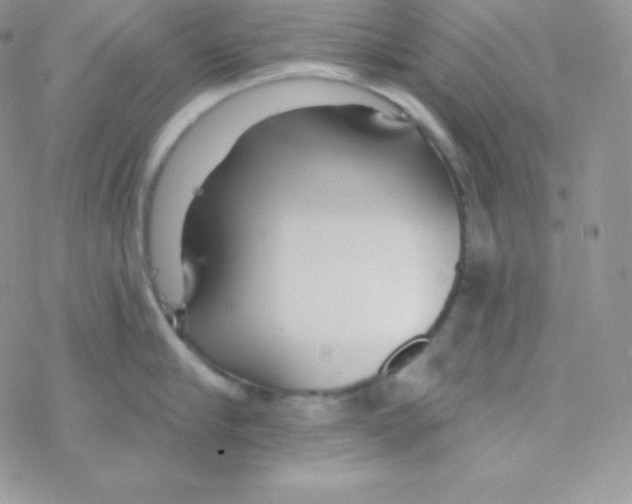 X0000077370910200611171946