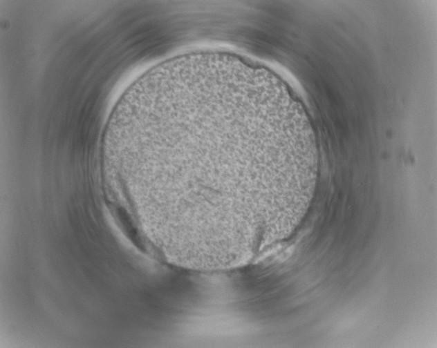 X0000077370911200611171946