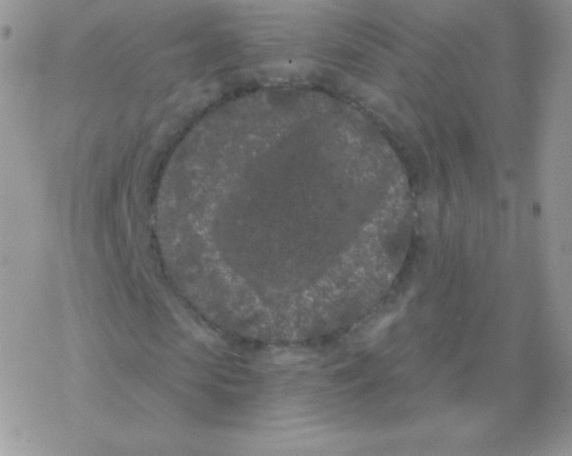 X0000077370913200611171945