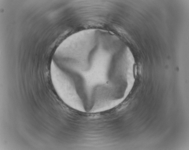 X0000077370915200611171945