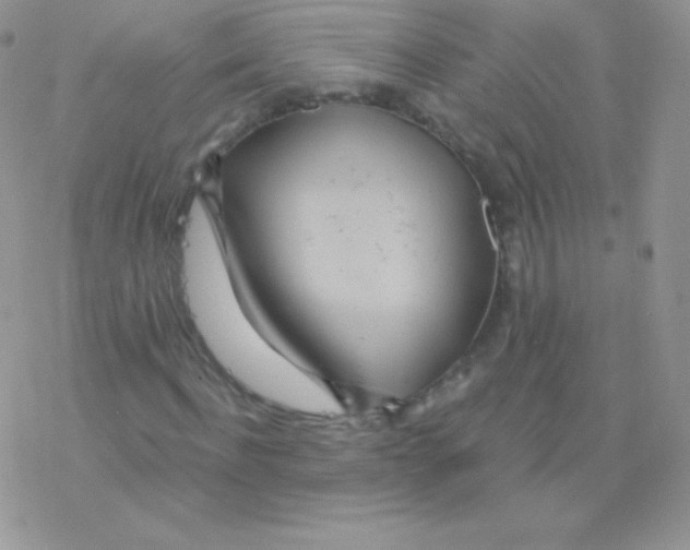 X0000077370916200611171945