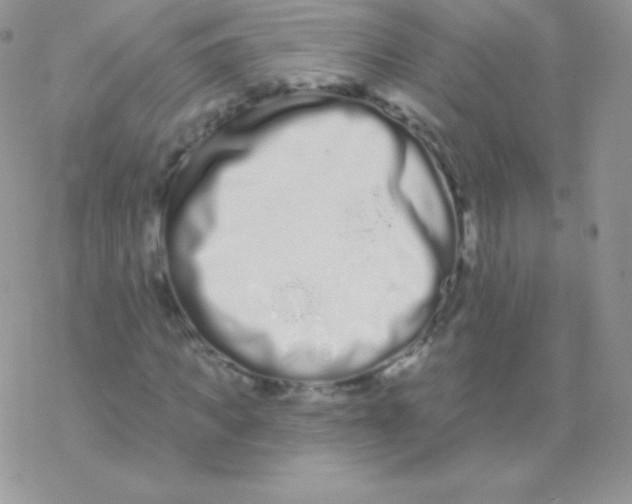 X0000077370917200611171945