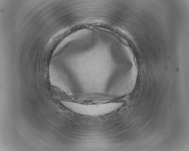 X0000077370920200611171945