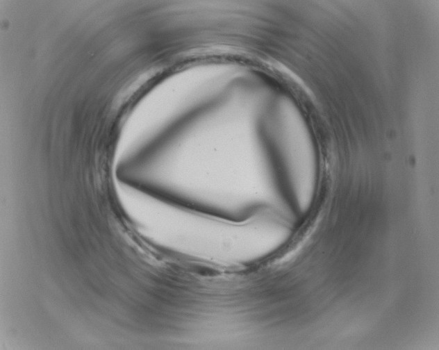 X0000077370921200611171945