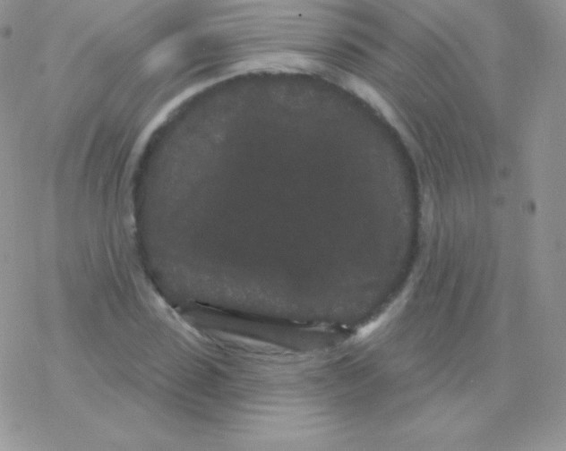 X0000077370923200611171945