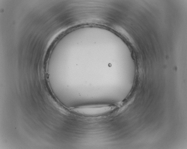 X0000077370924200611171945