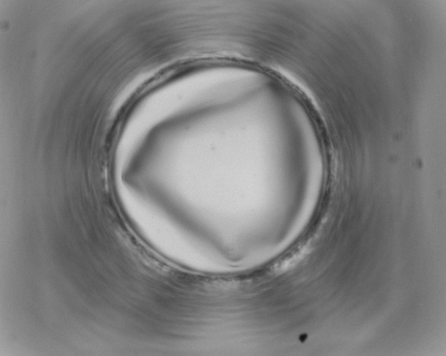 X0000077370925200611171945