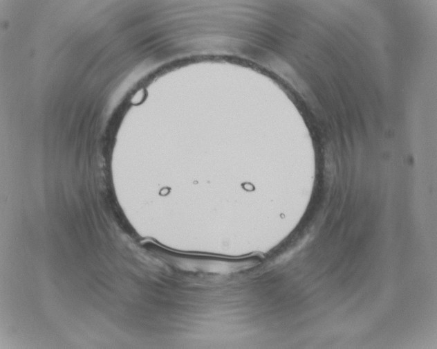 X0000077370926200611171945