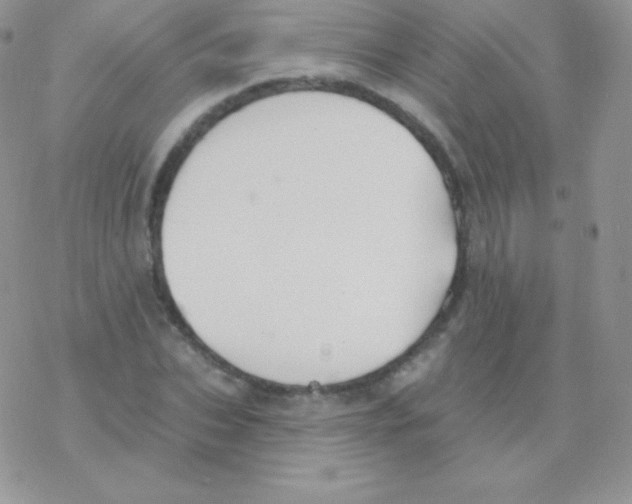 X0000077370927200611171945