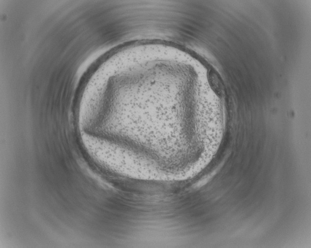 X0000077370928200611171945