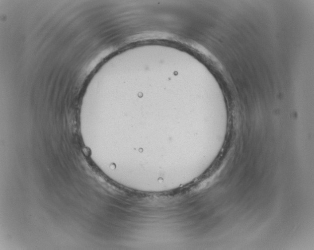 X0000077370929200611171945