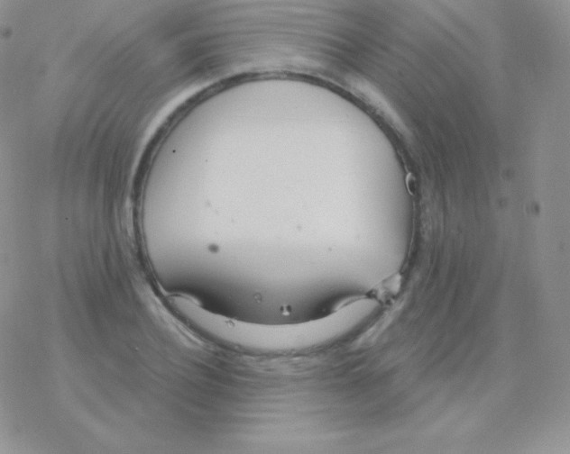 X0000077370932200611171945