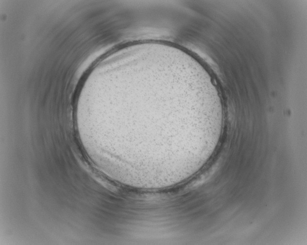 X0000077370933200611171945