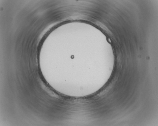 X0000077370934200611171945