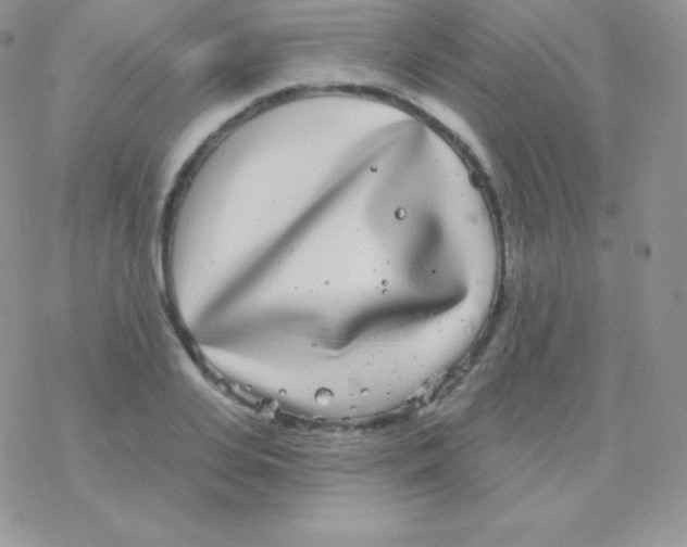 X0000077370935200611171945