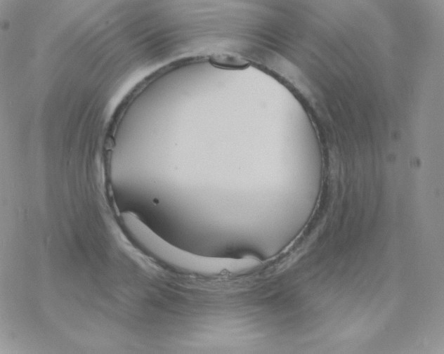 X0000077370936200611171945