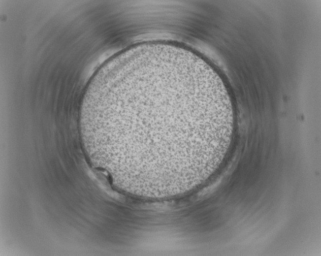 X0000077370937200611171945