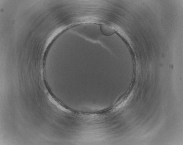 X0000077370941200611171945