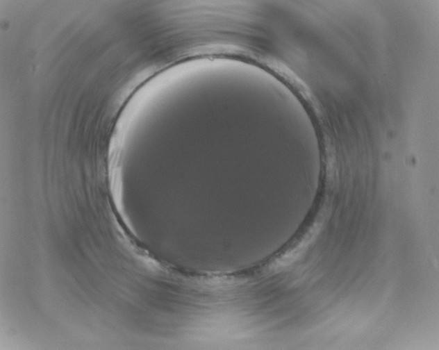 X0000077370945200611171945