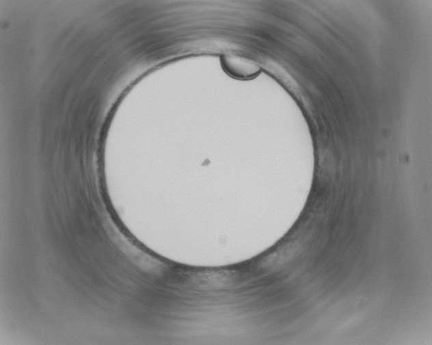 X0000077370947200611171945