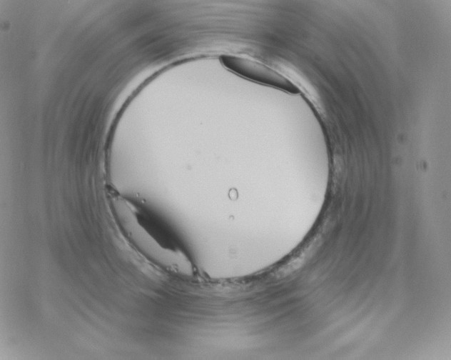 X0000077370948200611171945