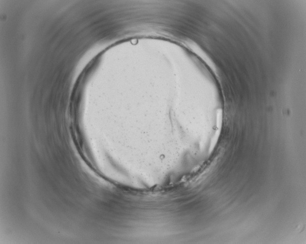 X0000077370951200611171945