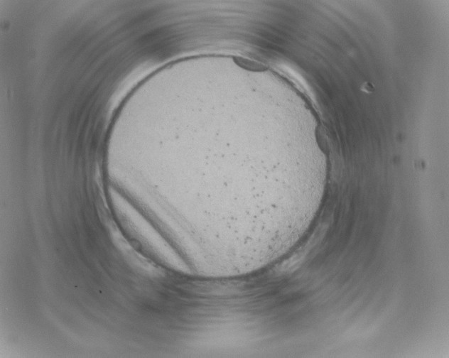 X0000077370952200611171945